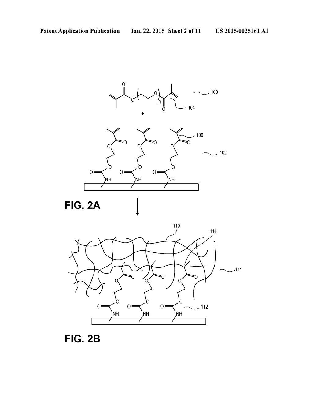 POLYURETHANE-GRAFTED HYDROGELS - diagram, schematic, and image 03