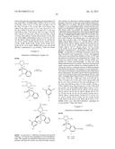 NOVEL ORGANOMETALLIC CATALYSTS diagram and image