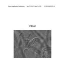 CYCLIC PENTADEPSIPEPTIDES AND MICROORGANISM OF FUSARIUM STRAIN PRODUCING     THE SAME diagram and image