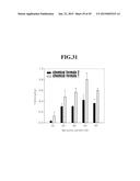 CYCLIC PENTADEPSIPEPTIDES AND MICROORGANISM OF FUSARIUM STRAIN PRODUCING     THE SAME diagram and image