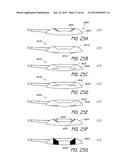 MASKED INTRAOCULAR IMPLANTS AND LENSES diagram and image