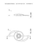 MASKED INTRAOCULAR IMPLANTS AND LENSES diagram and image