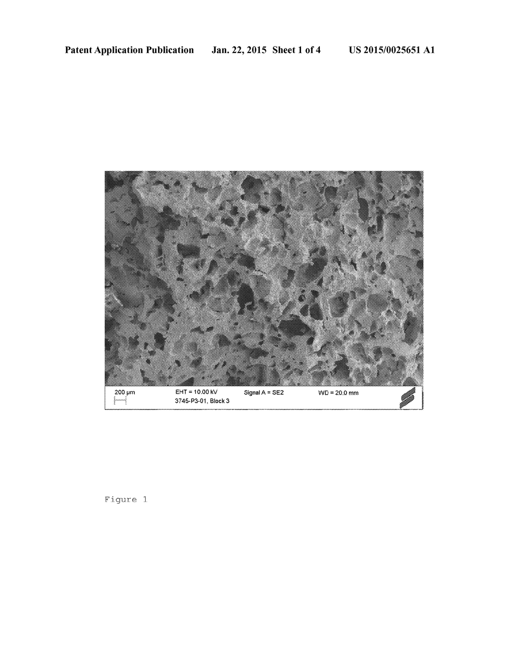 BONE REPAIR MATERIAL - diagram, schematic, and image 02