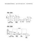 VEHICLE CONTROL APPARATUS diagram and image