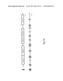 AUDIENCE MEASUREMENT SYSTEMS, METHODS AND APPARATUS diagram and image