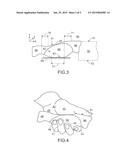 Handle of Knife diagram and image