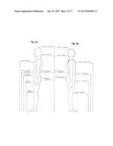 PATTERNING SYSTEM FOR SELECTED BODY TYPES AND ARTICLES OF MANUFACTURE     PRODUCED THEREFROM diagram and image