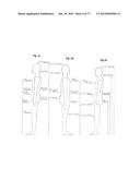 PATTERNING SYSTEM FOR SELECTED BODY TYPES AND ARTICLES OF MANUFACTURE     PRODUCED THEREFROM diagram and image