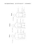 PATTERNING SYSTEM FOR SELECTED BODY TYPES AND ARTICLES OF MANUFACTURE     PRODUCED THEREFROM diagram and image