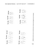 PATTERNING SYSTEM FOR SELECTED BODY TYPES AND ARTICLES OF MANUFACTURE     PRODUCED THEREFROM diagram and image