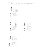 PATTERNING SYSTEM FOR SELECTED BODY TYPES AND ARTICLES OF MANUFACTURE     PRODUCED THEREFROM diagram and image