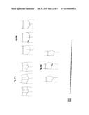 PATTERNING SYSTEM FOR SELECTED BODY TYPES AND ARTICLES OF MANUFACTURE     PRODUCED THEREFROM diagram and image