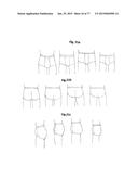 PATTERNING SYSTEM FOR SELECTED BODY TYPES AND ARTICLES OF MANUFACTURE     PRODUCED THEREFROM diagram and image