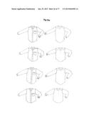 PATTERNING SYSTEM FOR SELECTED BODY TYPES AND ARTICLES OF MANUFACTURE     PRODUCED THEREFROM diagram and image