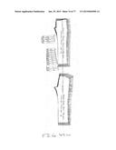 PATTERNING SYSTEM FOR SELECTED BODY TYPES AND ARTICLES OF MANUFACTURE     PRODUCED THEREFROM diagram and image