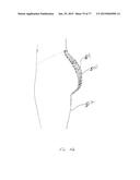 PATTERNING SYSTEM FOR SELECTED BODY TYPES AND ARTICLES OF MANUFACTURE     PRODUCED THEREFROM diagram and image