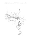 PATTERNING SYSTEM FOR SELECTED BODY TYPES AND ARTICLES OF MANUFACTURE     PRODUCED THEREFROM diagram and image