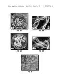 METHODS OF TREATMENT OF A SUBTERRANEAN FORMATION WITH POLYMERIC STRUCTURES     FORMED IN SITU diagram and image