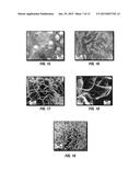 METHODS OF TREATMENT OF A SUBTERRANEAN FORMATION WITH POLYMERIC STRUCTURES     FORMED IN SITU diagram and image