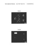 RESIN COMPOSITION FOR SOLDER BUMP FORMATION, SOLDER BUMP FORMATION METHOD,     AND MEMBER HAVING SOLDER BUMPS diagram and image