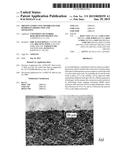 PROTON CONDUCTING MEMBRANES FOR HYDROGEN PRODUCTION AND SEPARATION diagram and image