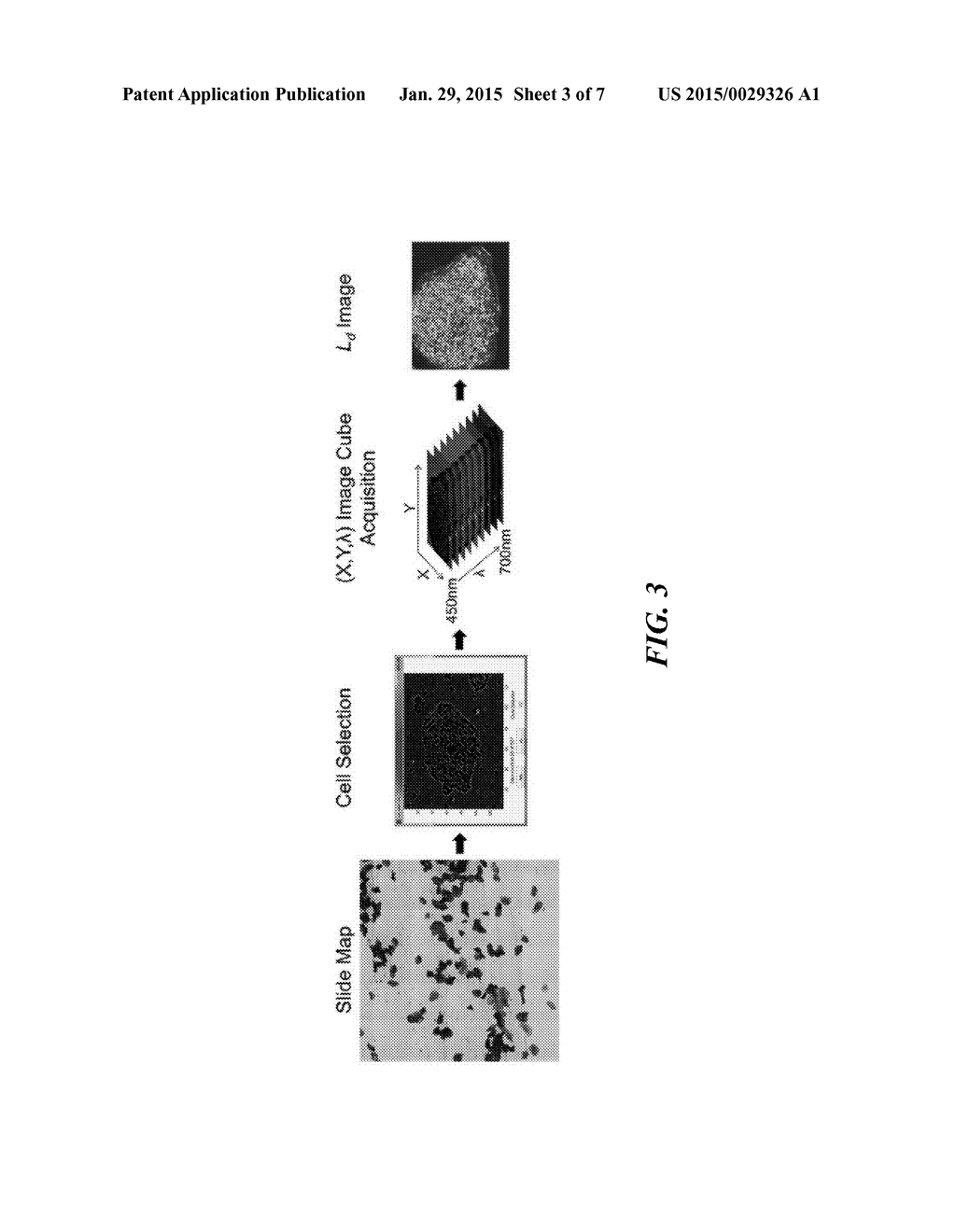 HIGH THROUGHPUT PARTIAL WAVE SPECTROSCOPIC MICROSCOPY AND ASSOCIATED     SYSTEMS AND METHODS - diagram, schematic, and image 04