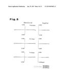 PROJECTION OPTICAL SYSTEM, EXPOSURE APPARATUS, AND EXPOSURE METHOD diagram and image