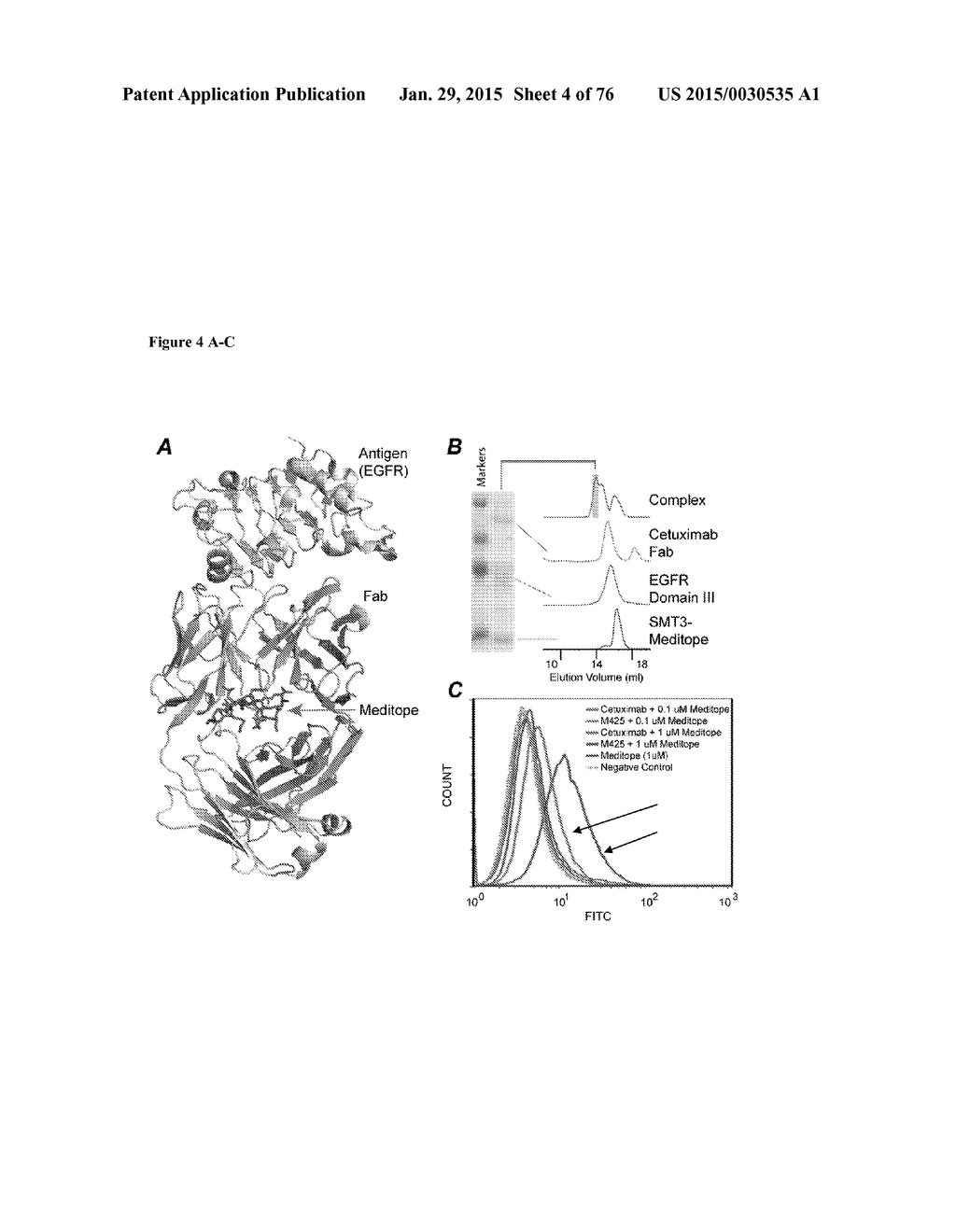 MEDITOPES AND MEDITOPE-BINDING ANTIBODIES AND USES THEREOF - diagram, schematic, and image 05