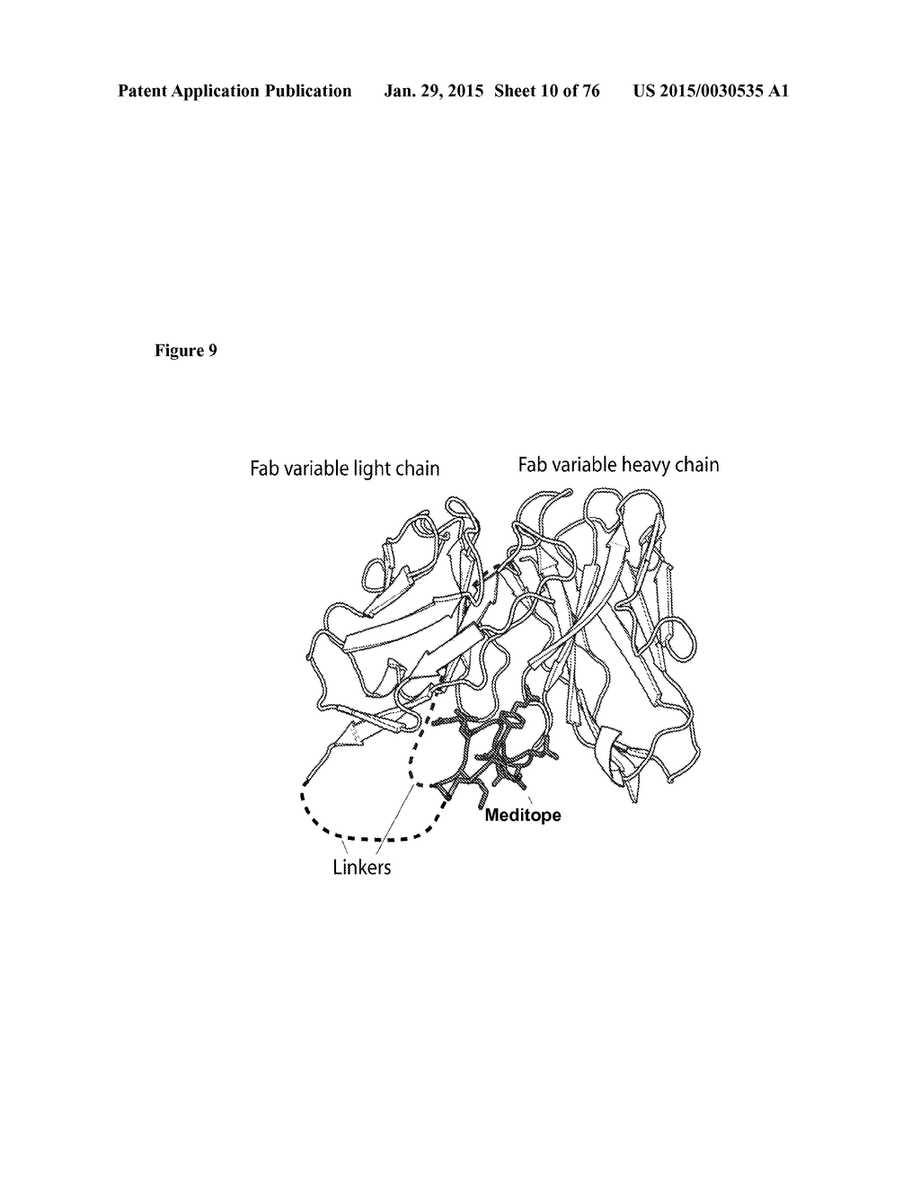 MEDITOPES AND MEDITOPE-BINDING ANTIBODIES AND USES THEREOF - diagram, schematic, and image 11