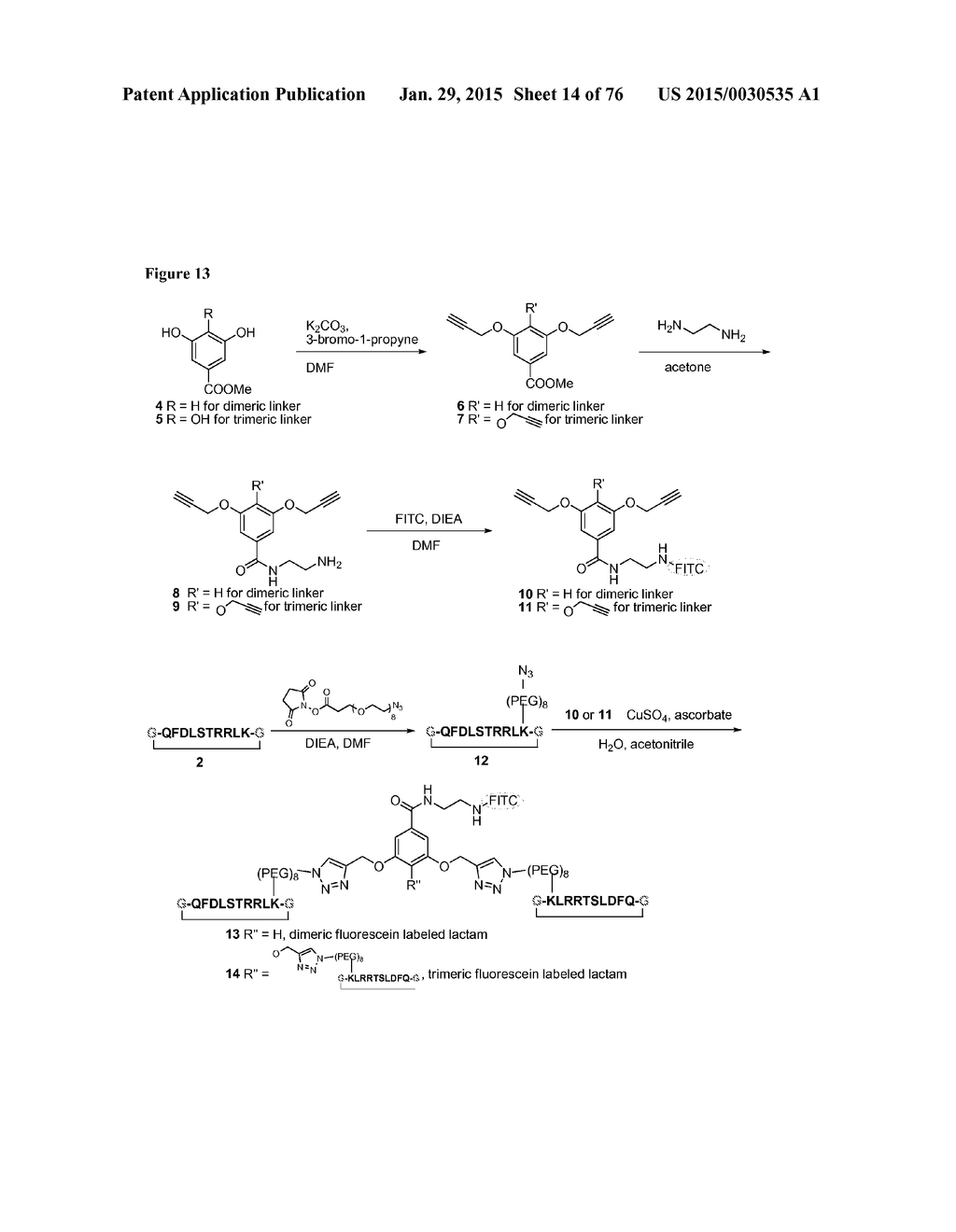 MEDITOPES AND MEDITOPE-BINDING ANTIBODIES AND USES THEREOF - diagram, schematic, and image 15