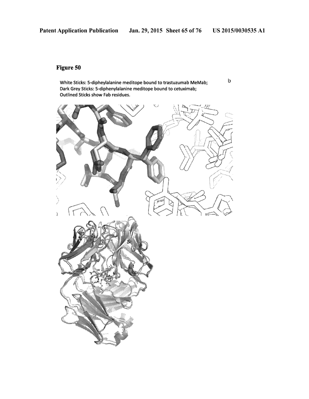 MEDITOPES AND MEDITOPE-BINDING ANTIBODIES AND USES THEREOF - diagram, schematic, and image 66