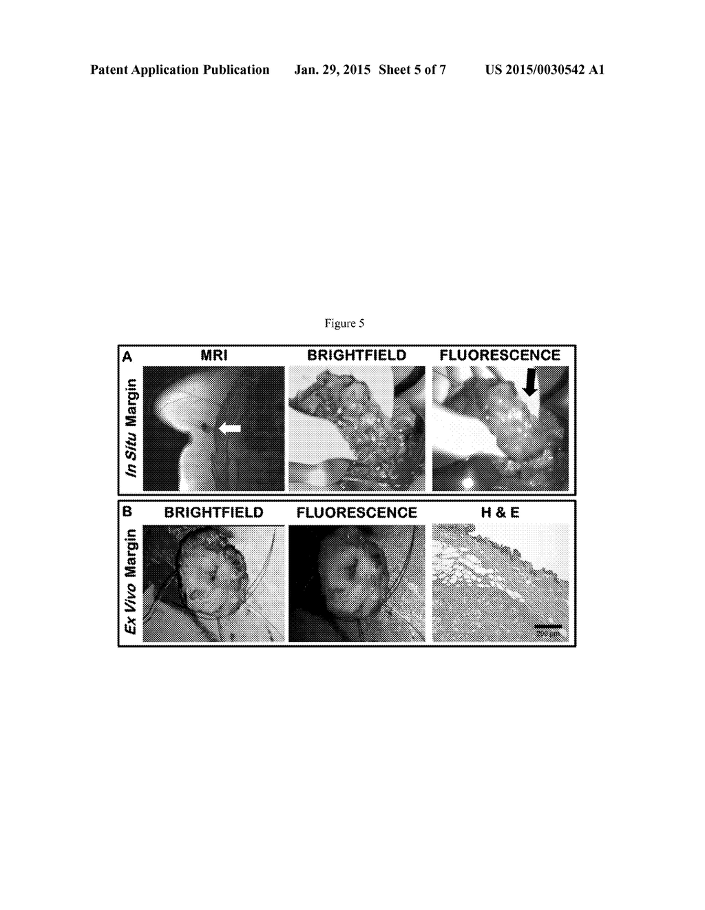 METHODS FOR MEDICAL IMAGING - diagram, schematic, and image 06