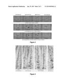 ANTIMICROBIAL PEPTIDE COMPOSITIONS FOR PLANTS diagram and image