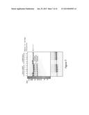 COMPOSITIONS OF PENETRATION-ENHANCED TARGETING PROTEINS AND METHODS OF USE diagram and image