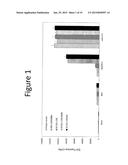 ANTI-VASCULAR ENDOTHELIAL GROWTH FACTOR RECEPTOR-2 CHIMERIC ANTIGEN     RECEPTORS AND USE OF SAME FOR THE TREATMENT OF CANCER diagram and image