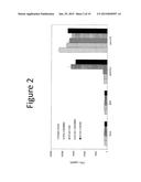 ANTI-VASCULAR ENDOTHELIAL GROWTH FACTOR RECEPTOR-2 CHIMERIC ANTIGEN     RECEPTORS AND USE OF SAME FOR THE TREATMENT OF CANCER diagram and image