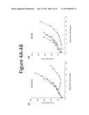 ANTI-VASCULAR ENDOTHELIAL GROWTH FACTOR RECEPTOR-2 CHIMERIC ANTIGEN     RECEPTORS AND USE OF SAME FOR THE TREATMENT OF CANCER diagram and image