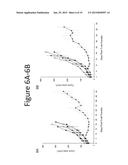 ANTI-VASCULAR ENDOTHELIAL GROWTH FACTOR RECEPTOR-2 CHIMERIC ANTIGEN     RECEPTORS AND USE OF SAME FOR THE TREATMENT OF CANCER diagram and image