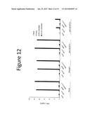 ANTI-VASCULAR ENDOTHELIAL GROWTH FACTOR RECEPTOR-2 CHIMERIC ANTIGEN     RECEPTORS AND USE OF SAME FOR THE TREATMENT OF CANCER diagram and image