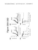 ANTI-VASCULAR ENDOTHELIAL GROWTH FACTOR RECEPTOR-2 CHIMERIC ANTIGEN     RECEPTORS AND USE OF SAME FOR THE TREATMENT OF CANCER diagram and image