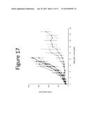 ANTI-VASCULAR ENDOTHELIAL GROWTH FACTOR RECEPTOR-2 CHIMERIC ANTIGEN     RECEPTORS AND USE OF SAME FOR THE TREATMENT OF CANCER diagram and image
