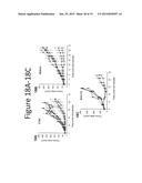 ANTI-VASCULAR ENDOTHELIAL GROWTH FACTOR RECEPTOR-2 CHIMERIC ANTIGEN     RECEPTORS AND USE OF SAME FOR THE TREATMENT OF CANCER diagram and image