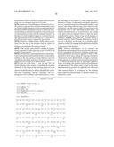 ANTI-VASCULAR ENDOTHELIAL GROWTH FACTOR RECEPTOR-2 CHIMERIC ANTIGEN     RECEPTORS AND USE OF SAME FOR THE TREATMENT OF CANCER diagram and image