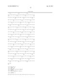 ANTI-VASCULAR ENDOTHELIAL GROWTH FACTOR RECEPTOR-2 CHIMERIC ANTIGEN     RECEPTORS AND USE OF SAME FOR THE TREATMENT OF CANCER diagram and image