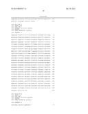 ANTI-VASCULAR ENDOTHELIAL GROWTH FACTOR RECEPTOR-2 CHIMERIC ANTIGEN     RECEPTORS AND USE OF SAME FOR THE TREATMENT OF CANCER diagram and image