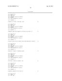 ANTI-VASCULAR ENDOTHELIAL GROWTH FACTOR RECEPTOR-2 CHIMERIC ANTIGEN     RECEPTORS AND USE OF SAME FOR THE TREATMENT OF CANCER diagram and image