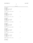 ANTI-VASCULAR ENDOTHELIAL GROWTH FACTOR RECEPTOR-2 CHIMERIC ANTIGEN     RECEPTORS AND USE OF SAME FOR THE TREATMENT OF CANCER diagram and image