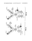 TRI- OR TETRASPECIFIC ANTIBODIES diagram and image