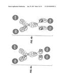 TRI- OR TETRASPECIFIC ANTIBODIES diagram and image