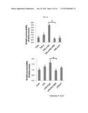 ANTI-ANG2 ANTIBODY diagram and image